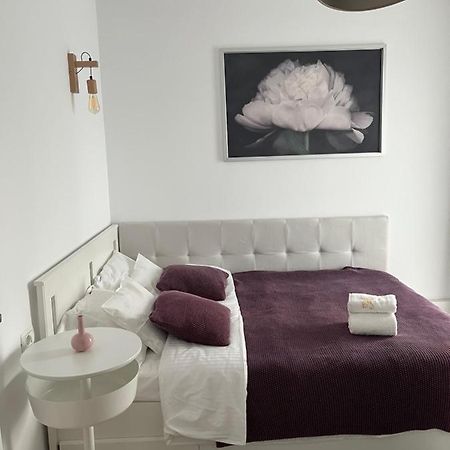 Alma Apartments Suceava Ngoại thất bức ảnh