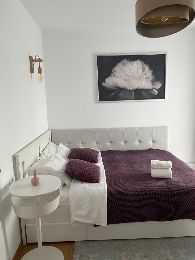 Alma Apartments Suceava Ngoại thất bức ảnh